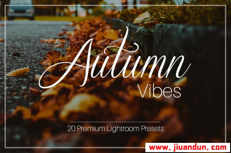 浓厚秋天气息风光摄影免费Lightroom预设 Autumn Vibes Lightroom Presets LR预设 第1张