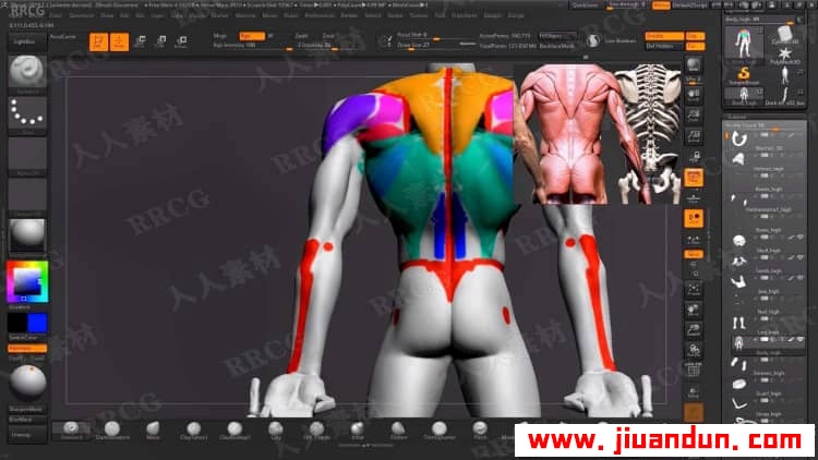 Zbrush精灵王游戏角色雕刻建模制作完整工作流程视频教程 3D 第8张