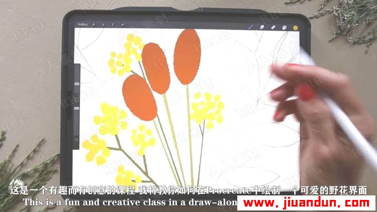 【中文字幕】 Procreate风格化野花花卉插图绘制视频教程 CG 第2张