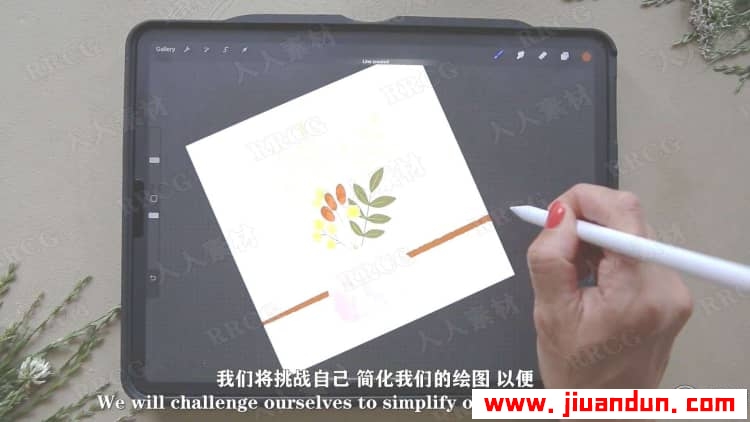 【中文字幕】 Procreate风格化野花花卉插图绘制视频教程 CG 第3张