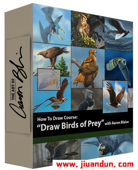 著名画师 Aaron Blaise - 如何绘制野生动物猛禽-鸟类解剖学教程中英字幕 CG 第1张
