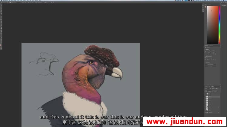 著名画师 Aaron Blaise - 如何绘制野生动物猛禽-鸟类解剖学教程中英字幕 CG 第2张