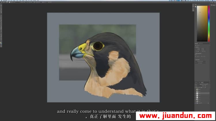 著名画师 Aaron Blaise - 如何绘制野生动物猛禽-鸟类解剖学教程中英字幕 CG 第4张