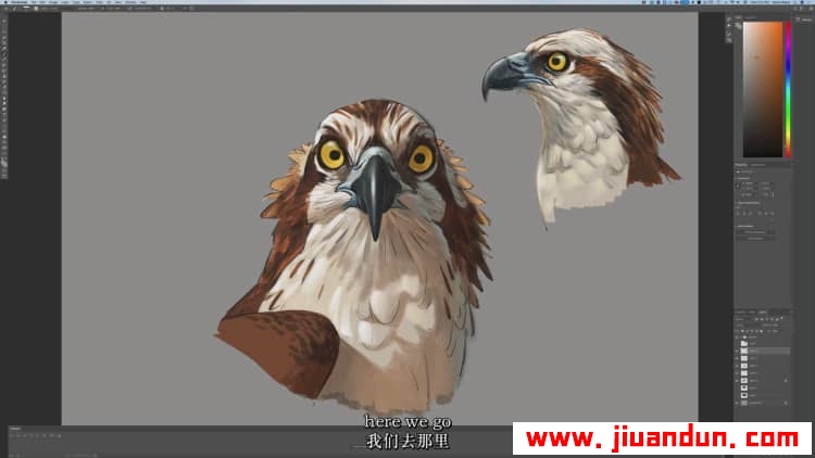 著名画师 Aaron Blaise - 如何绘制野生动物猛禽-鸟类解剖学教程中英字幕 CG 第7张