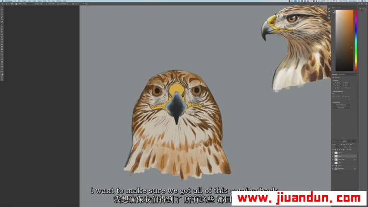 著名画师 Aaron Blaise - 如何绘制野生动物猛禽-鸟类解剖学教程中英字幕 CG 第8张
