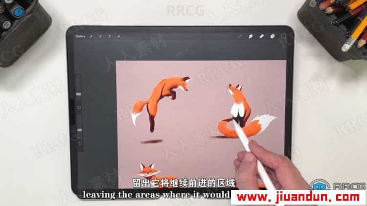 【中文字幕】Procreate绘制动物角色姿势卡通插画视频教程 CG 第2张