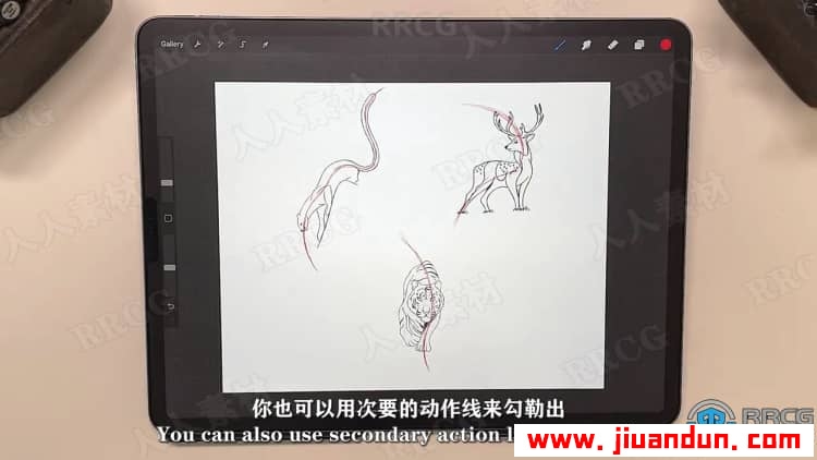 【中文字幕】Procreate绘制动物角色姿势卡通插画视频教程 CG 第6张