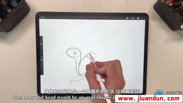 【中文字幕】Procreate绘制动物角色姿势卡通插画视频教程 CG 第8张