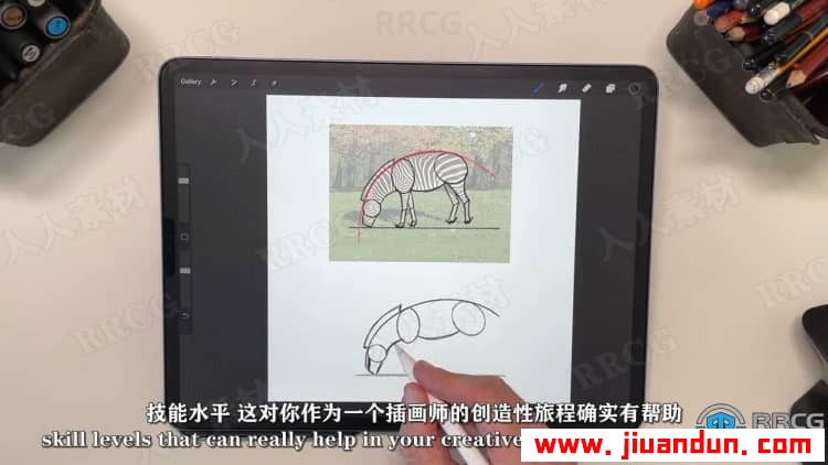 【中文字幕】Procreate绘制动物角色姿势卡通插画视频教程 CG 第15张