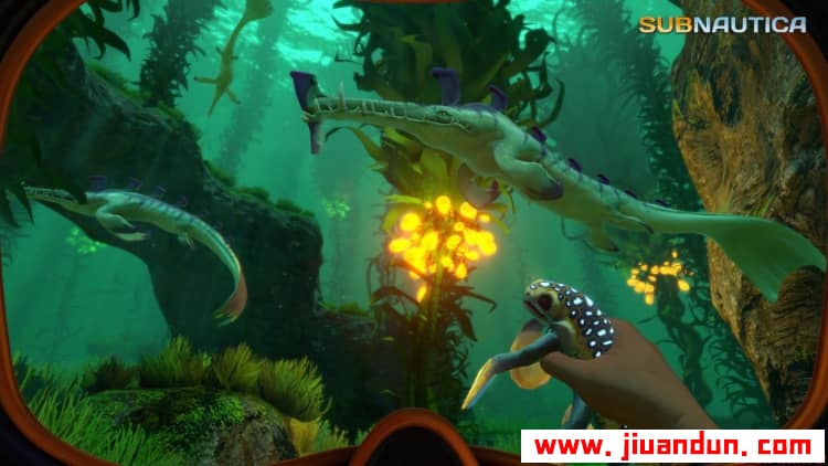 《深海迷航-水下之旅-美丽水世界》免安装v68044绿色官方中文版[7.51GB] 单机游戏 第8张