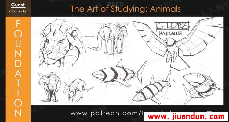 PS动物艺术线条结构设计绘制工作流程视频教程 PS教程 第2张