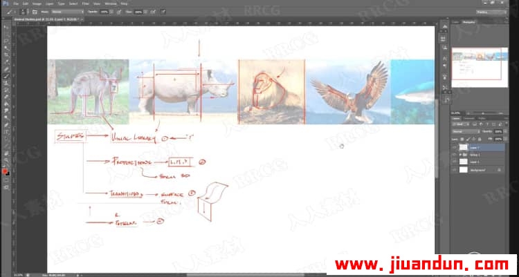 PS动物艺术线条结构设计绘制工作流程视频教程 PS教程 第3张