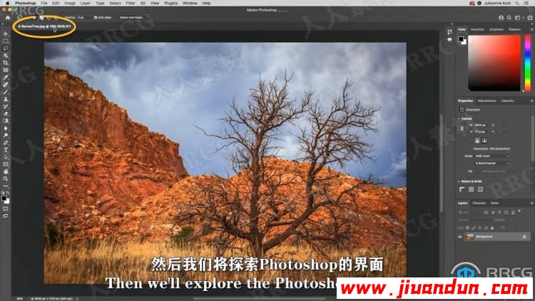 【中文字幕】Photoshop 2022全面核心技术训练视频教程 PS教程 第4张