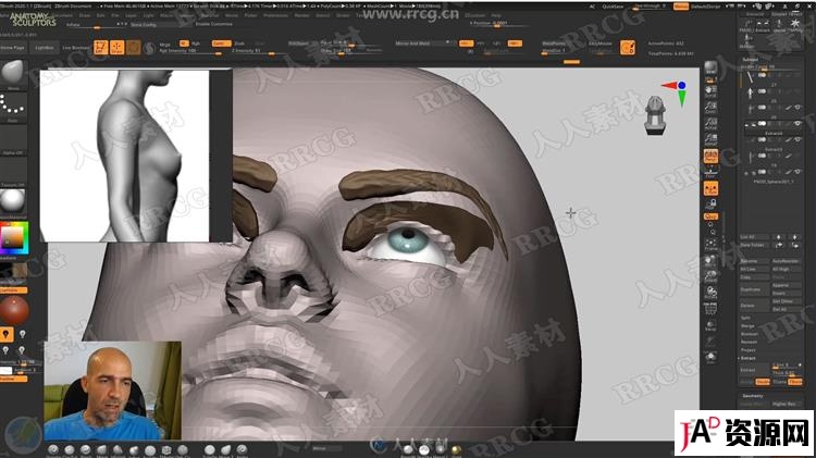 ZBrush完整女性人体解剖数字雕刻大师级视频教程 3D 第17张