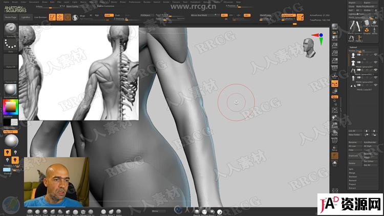 ZBrush完整女性人体解剖数字雕刻大师级视频教程 3D 第12张