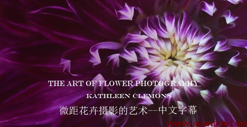 Kathleen Clemons The Art of Flower Photography微距花卉摄影 中文字幕 摄影 第1张
