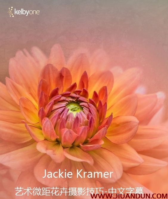 KelbyOne花卉摄影师Jackie Kramer艺术微距花卉摄影技巧中文字幕 摄影 第1张