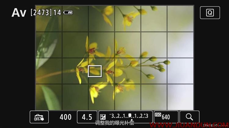 KelbyOne花卉摄影师Jackie Kramer艺术微距花卉摄影技巧中文字幕 摄影 第12张