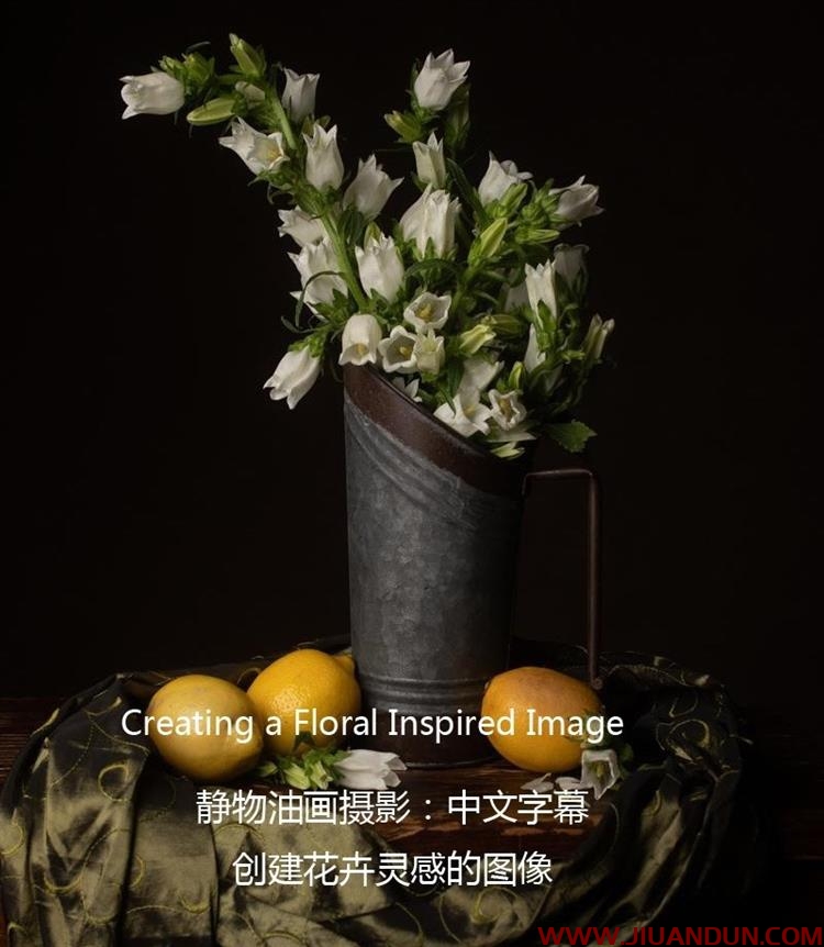 静物油画摄影创建灵感花卉油画风格摄影布光教程中文字幕 摄影 第1张