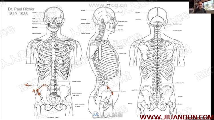 Bridgman国外人体解剖素描大师级解析视频教程 CG 第4张