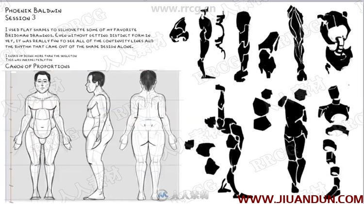 Bridgman国外人体解剖素描大师级解析视频教程 CG 第5张