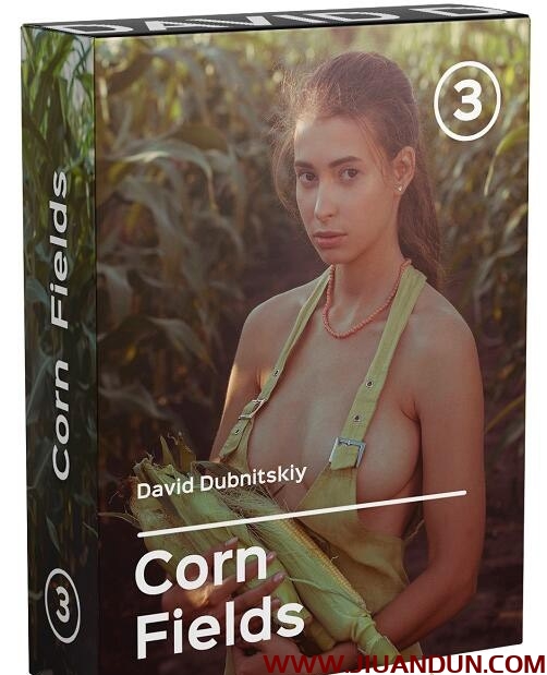 David Dubnitskiy私房人像摄影秘诀之3玉米地人像摄影中文字幕 摄影 第1张