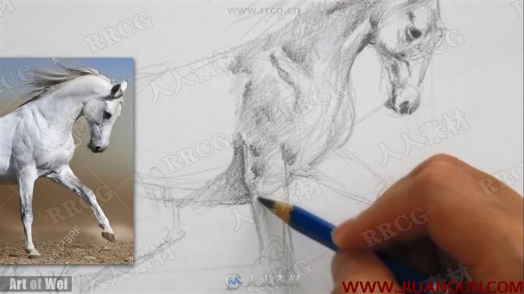 Art of Wei素描速写美术基础传统手绘教学视频 CG 第4张