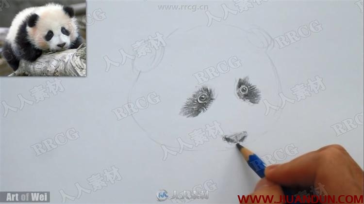 Art of Wei素描速写美术基础传统手绘教学视频 CG 第10张