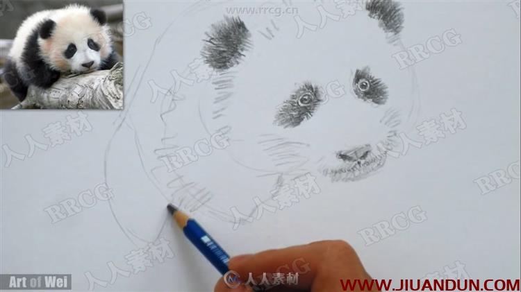 Art of Wei素描速写美术基础传统手绘教学视频 CG 第11张
