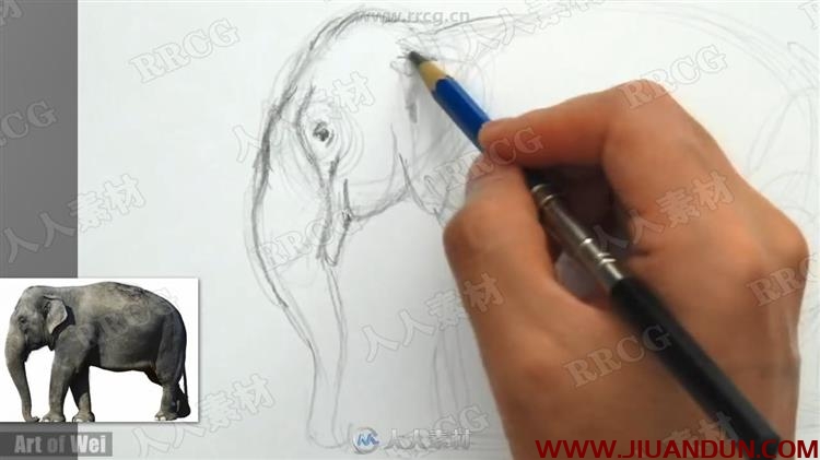 Art of Wei素描速写美术基础传统手绘教学视频 CG 第14张