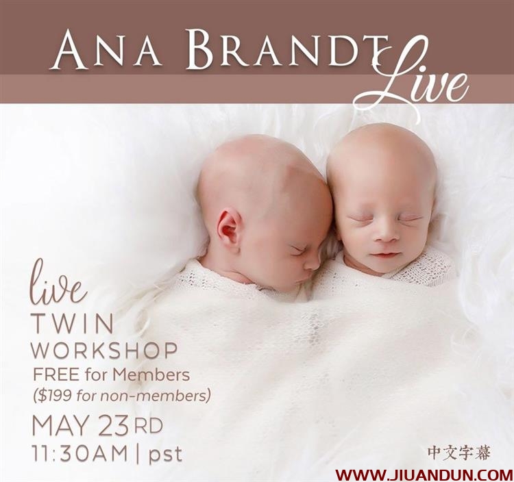 摄影师Ana Brandt双胞胎新生儿包裹裹布造型布光教程中文字幕 摄影 第1张