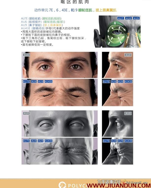 人体面部解剖权威教材中文译本面部表情艺用解剖PDF教程 CG 第4张