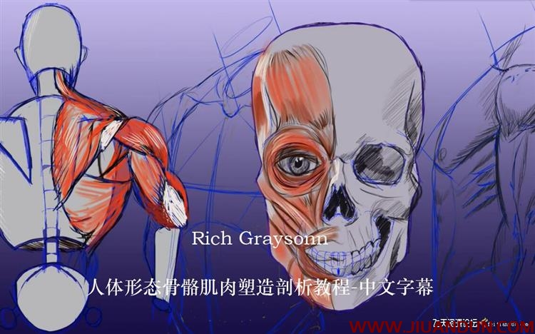 Rich Graysonn 人体形态骨骼肌肉塑造剖析大师级教程 中文字幕 CG 第2张