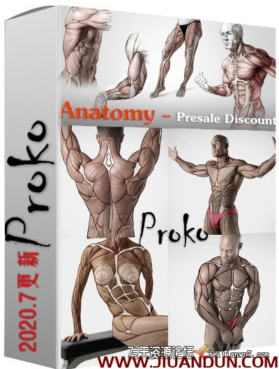 Proko人体解剖绘画付费版中文字幕Proko Anatomy for Artists304课 CG 第1张