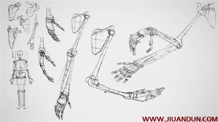 Proko人体解剖绘画付费版中文字幕Proko Anatomy for Artists304课 CG 第9张