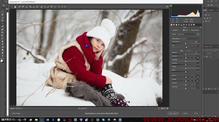 PhotoCASA摄影师Arma Gray冬季儿童摄影冰雪童话后期调色教程 PS教程 第5张