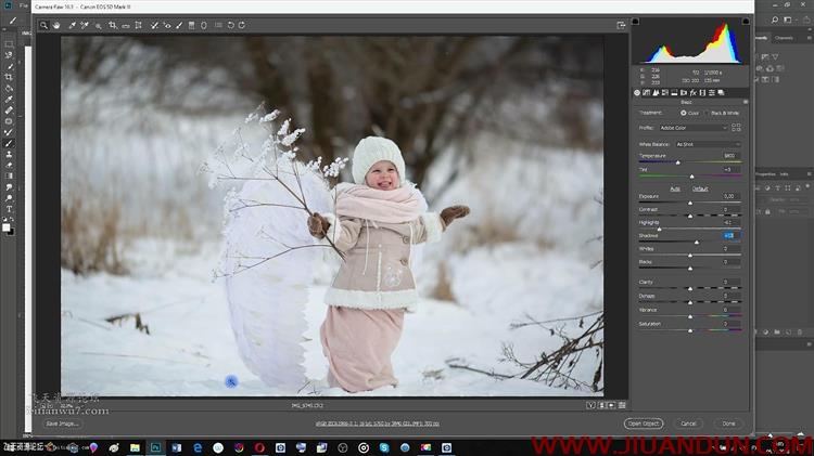 PhotoCASA摄影师Arma Gray冬季儿童摄影冰雪童话后期调色教程 PS教程 第7张