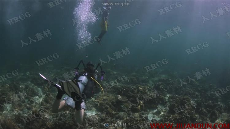 潜水摄影水下精美照片拍摄技能训练视频教程 摄影 第3张
