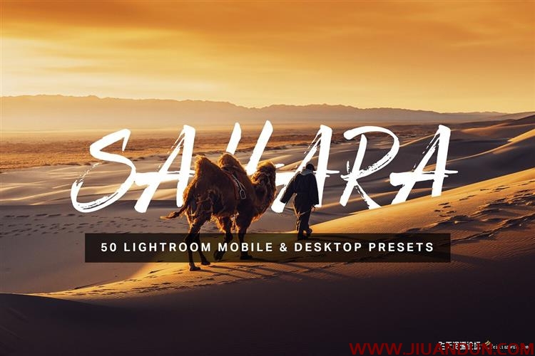 沙漠通透旅拍风LR预设+3DLUT预设Sahara Lightroom Presets and LUTs LR预设 第1张