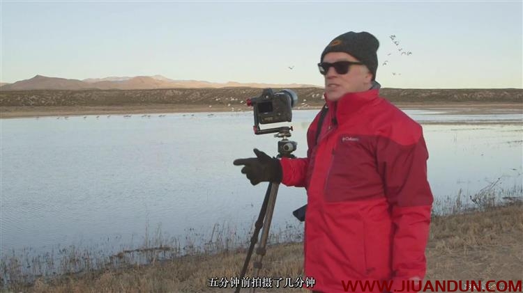 Rick Sammon飞鸟鸟类专业摄影构图装备设置技术教程中文字幕 摄影 第12张
