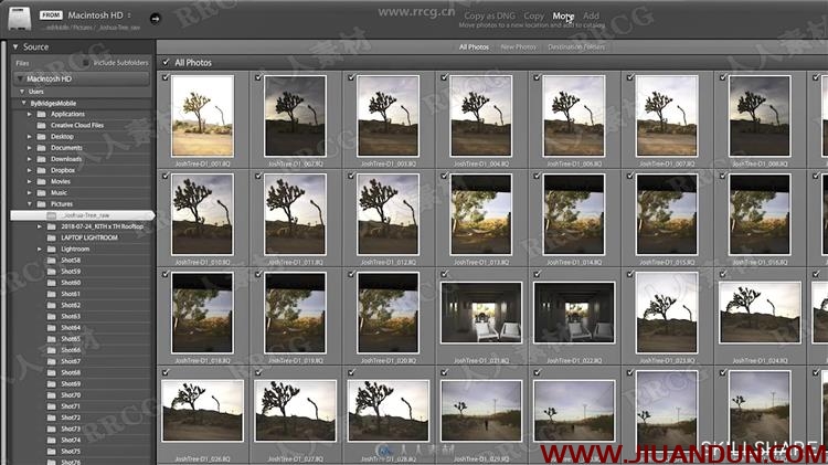 日常摄影基础照片编辑后期制作实例训练视频教程 PS教程 第8张