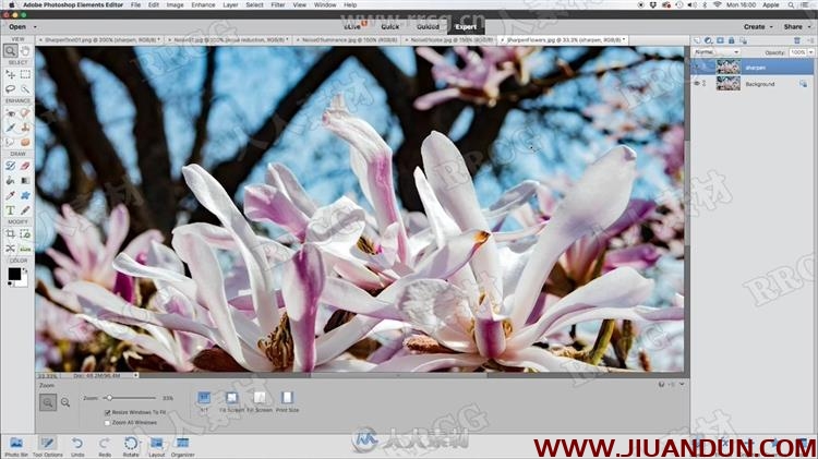 Photoshop Elements照片构图调色资深技能训练视频教程 PS教程 第4张