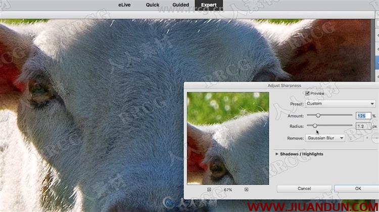 Photoshop Elements照片构图调色资深技能训练视频教程 PS教程 第5张