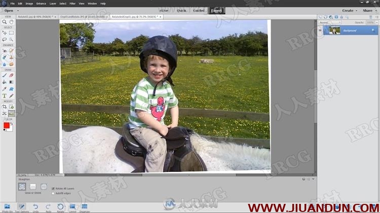 Photoshop Elements照片构图调色资深技能训练视频教程 PS教程 第6张