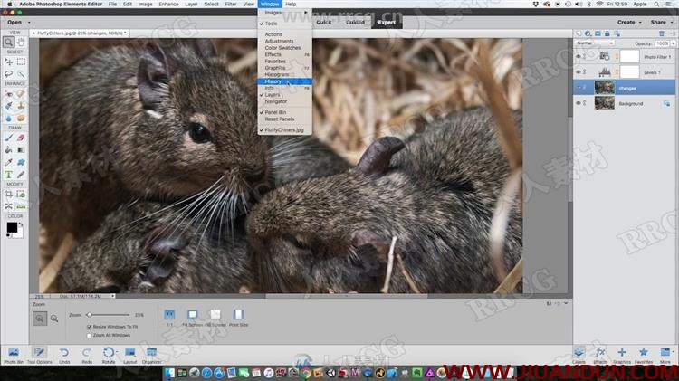 Photoshop Elements照片构图调色资深技能训练视频教程 PS教程 第8张