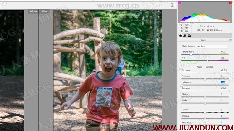 Photoshop Elements照片构图调色资深技能训练视频教程 PS教程 第9张