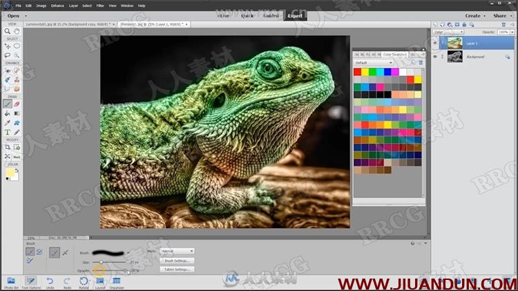 Photoshop Elements照片构图调色资深技能训练视频教程 PS教程 第10张