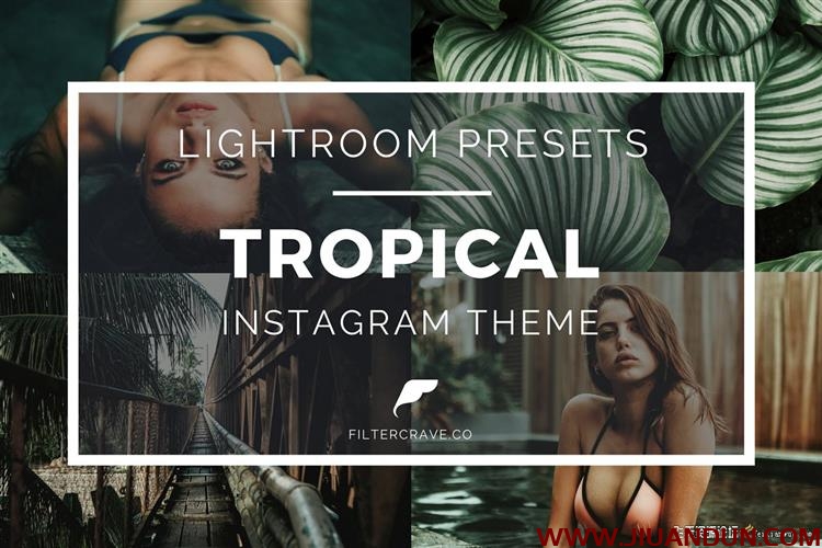 INS风格网红森系胶片人像LR预设Tropical Lightroom Presets Instagram LR预设 第1张