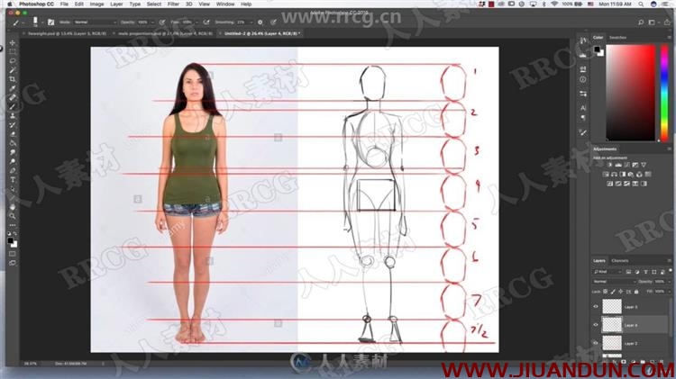 人像解剖学全身头部身体等数字绘画大师级视频教程 PS教程 第8张