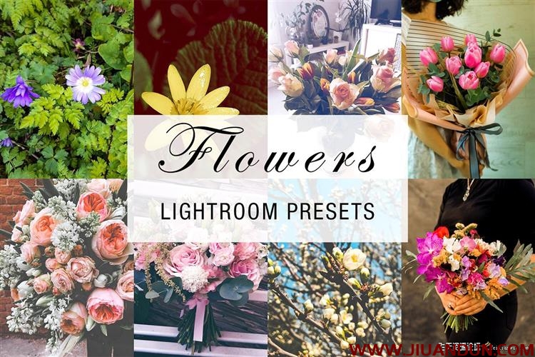 24个花卉植物摄影后期免费Lightroom预设24 flowers lightroom Presets LR预设 第1张